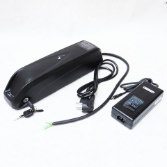 48V 12ah lithium batteries